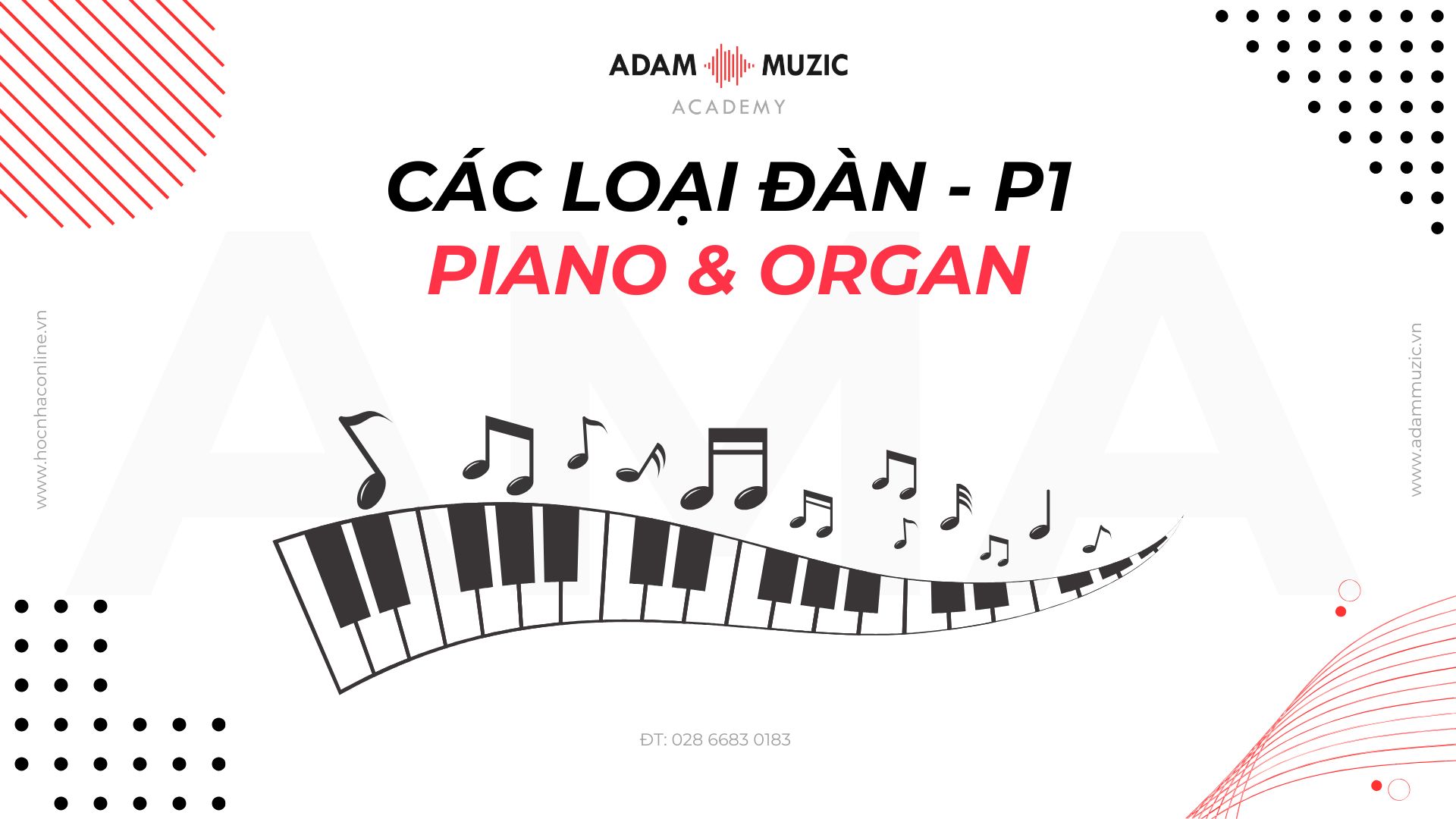 Các Loại Đàn Piano Và Organ – Phần 1