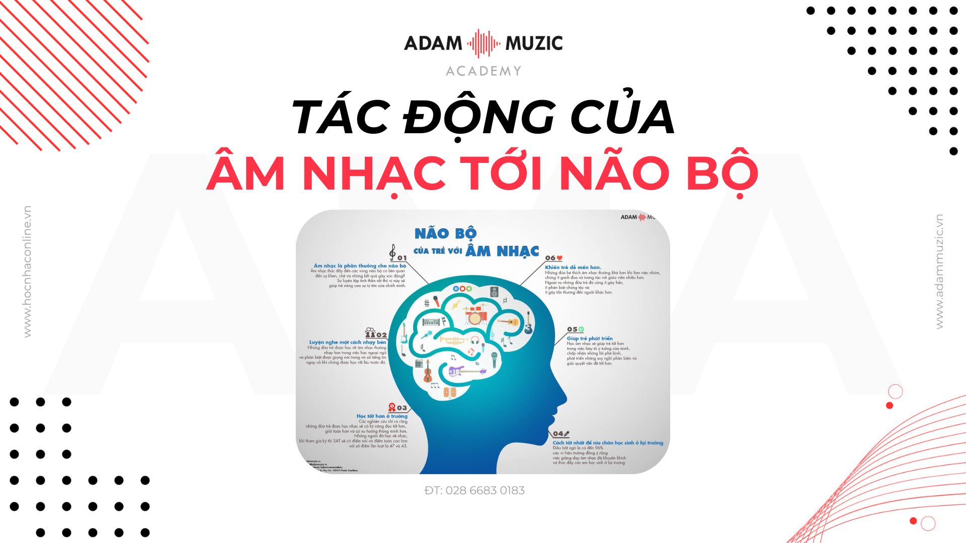 Tác động của âm nhạc tới não bộ - Adam Muzic