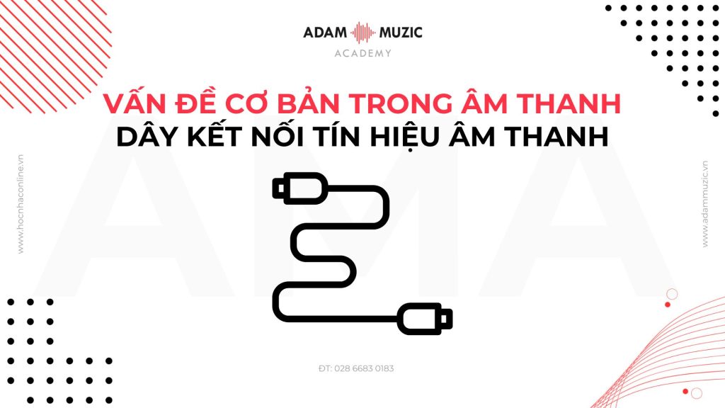 Vấn đề cơ bản trong âm thanh - Dây kết nối tín hiệu - Adam Muzic