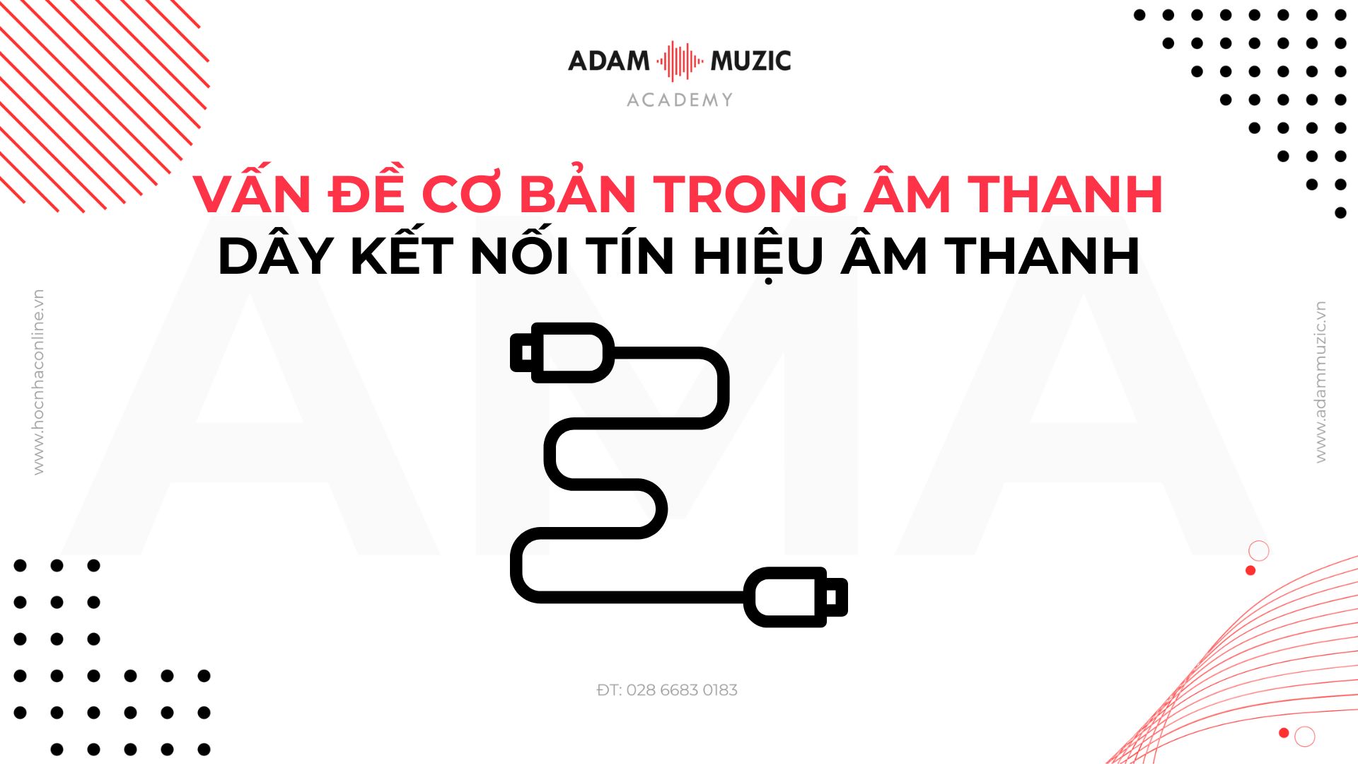 Vấn đề cơ bản trong âm thanh - Dây kết nối tín hiệu - Adam Muzic