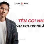 Tên Gọi Nhạc Sĩ Và Vai Trò Của Họ Trong Ngành Âm Nhạc