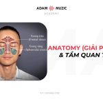 Anatomy (Giải Phẫu Học) – Tầm Quan Trọng Trong Âm Nhạc