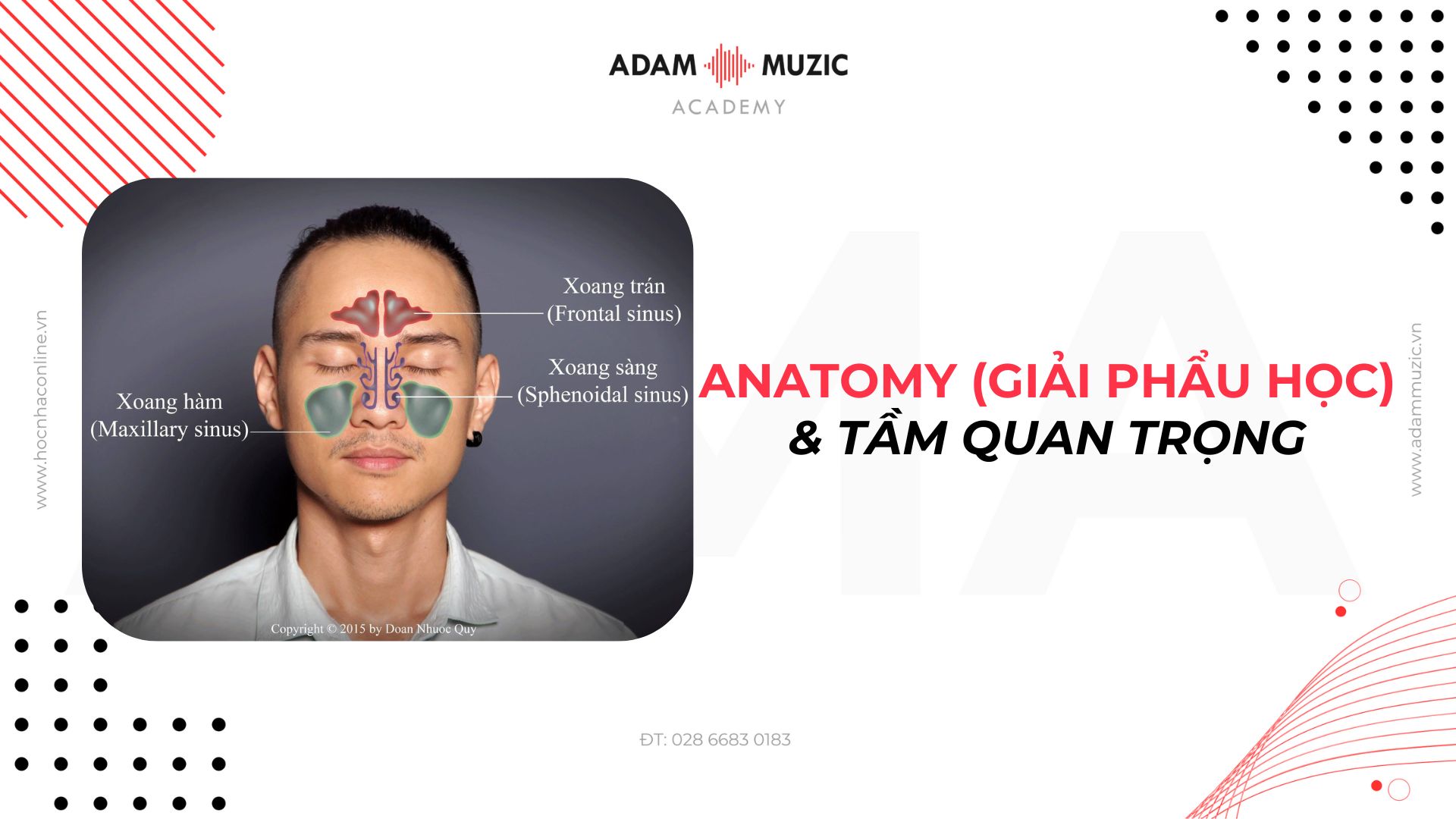 Atatomy (giải phẫu học) - Tầm quan trọng trong âm nhạc - Adam Muzic