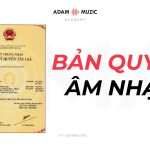Hiểu Về Bản Quyền Âm Nhạc Qua Luật Sở Hữu Trí Tuệ Việt Nam