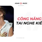 Công Năng Của Tai Nghe Kiểm Âm Trên Sân Khấu (IEM)