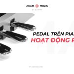 Pedal Trên Piano Là Gì? Hoạt Động Ra Sao?