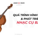 Quá Trình Hình Thành Và Phát Triển Của Nhạc Cụ Bass
