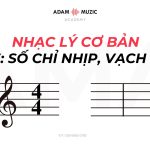 Nhạc Lý Cơ Bản – Bài 3  Số Chỉ Nhịp và Vạch Nhịp (Time Signature and Bar line)