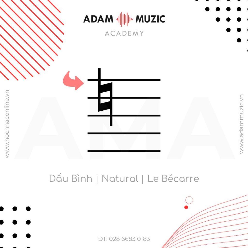 dấu bình (adam muzic), dấu bình là gì (adam muzic)