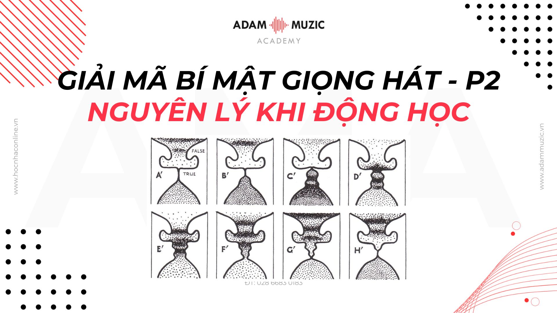 Nguyên lý khí động học - Áp suất dưới dây thanh quản - Adam Muzic