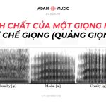 Tính Chất Của Một Giọng Hát – Quãng Giọng (Cơ Chế Giọng)