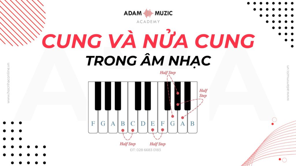 Cung và nửa cung trong âm nhạc - Adam Muzic