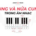 Cung Và Nửa Cung Trong Âm Nhạc Là Thế Nào?