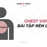Chest Voice Là Gì? Tìm Hiểu Sâu Hơn Về Chest Voice
