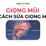 Giọng Mũi (Nasal) Là Gì? 3 Cách Giúp Bạn Sửa Giọng Mũi