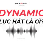 Dynamic (Lực Hát) Trong Âm Nhạc Là Gì?