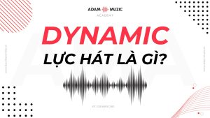 Dynamic là gì - Adam Muzic