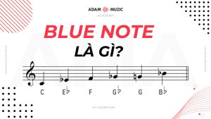 Blue Note là gì - Adam Muzic