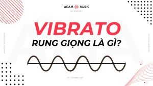 Vibrato (Rung giọng) là gì? - Adam Muzic