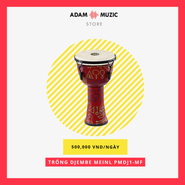 Cho thuê trống Djembe Meinl PMDJ1-M-F - Adam Muzic