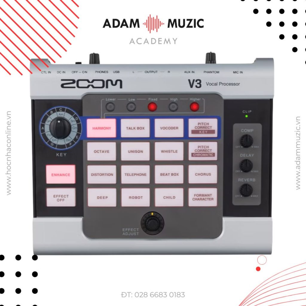 Bộ bè zoom V3 - Adam Muzic