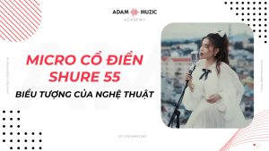 Cho thuê micro cổ điển - Adam Muzic