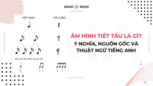 Âm hình tiết tấu là gì - Adam Muzic