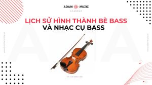 Lịch sử hình thành bè bass và nhạc cụ bass - Adam Muzic