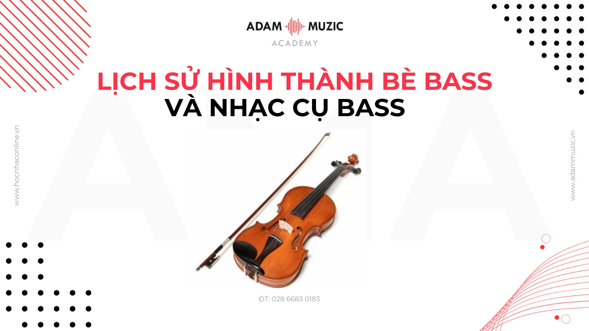 Lịch sử hình thành bè bass và nhạc cụ bass - Adam Muzic